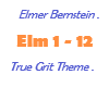 Elmer Bernstein / True g