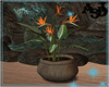 A3D* Plant Flowers
