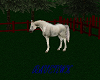 ranch horse 6