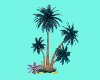 Tropical Banana Tree
