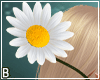 Daisy Handheld