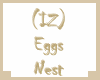 (IZ) Eggs Nest