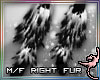 (IR)NightWere: L Fur-R