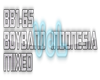 VeLâ¤20s Boyband Mix