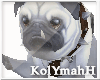 KYH |  Pet dog