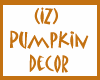 (IZ) Pumpkin Decor