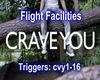 CraveU Flight Facilties