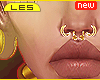 L| Gold Nose Septums