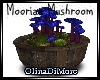 (OD) Mooria Mushroom 3