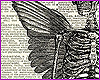 skeleton wings canvas