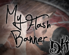 DK Flash Banner