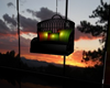 Jamaican Swing