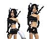 Black fox