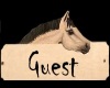 [M] Guest Pony