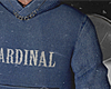 cardinal blue sweater