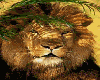 Circular Lion  Couch