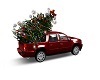 trk  With Christmas Tree