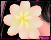 ** Spring Hair Flower