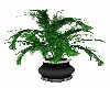LARGE POTTED PALM PLANT