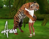 Tiger Hug