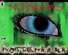ToxicLashes-NO BROWS!