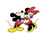 Minnie and Mickey Pic