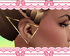 R| Triangle Earrings 1