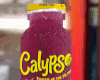 calypso v4