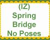 Spring Bridge No Poses