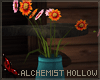 Alchemist Hollow Flowers