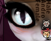 Papitas Celeste Blue Eye
