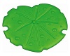 lily pad