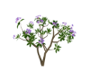 Flowers hedge1