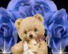 BLUE ROSE TEDDY BEAR