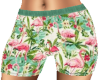 flamingo shorts