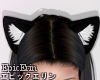 [E]*Cat Ears*