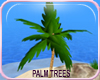 MLM Summer Palm Large