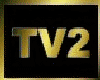 TV2 TRI-LEVEL MANSION