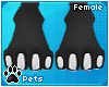 [Pets] Zentha | feet