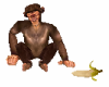 Safary Monkey Animated