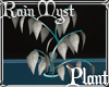 |PV|Rain Myst Plant[PMI]