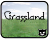 KBs Grassland