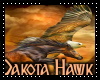 DakotaHawk/RH
