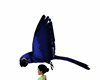 !E Flying Hyacinth Macaw