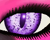 CC*Purple Cat Eyes