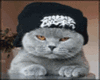 animated godfatherkitty