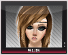 Sug* Brown Liona