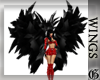 Black Feather Wings ||G