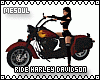 Ride Harley Davidson