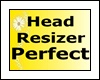 Scaler Head  Resizer